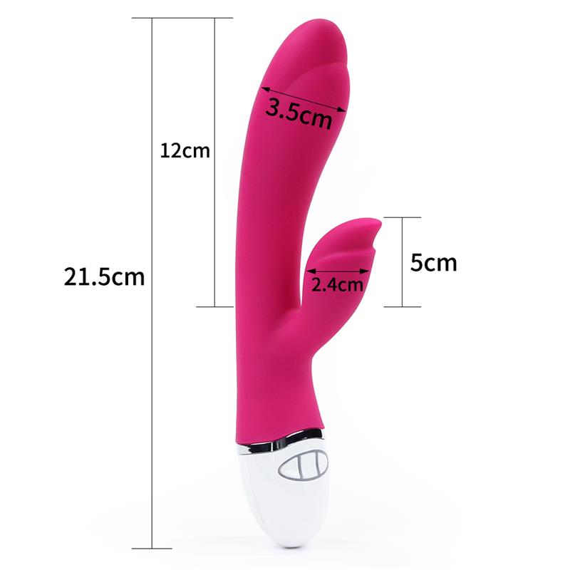 Vibe Dreamer II USB Rose Red